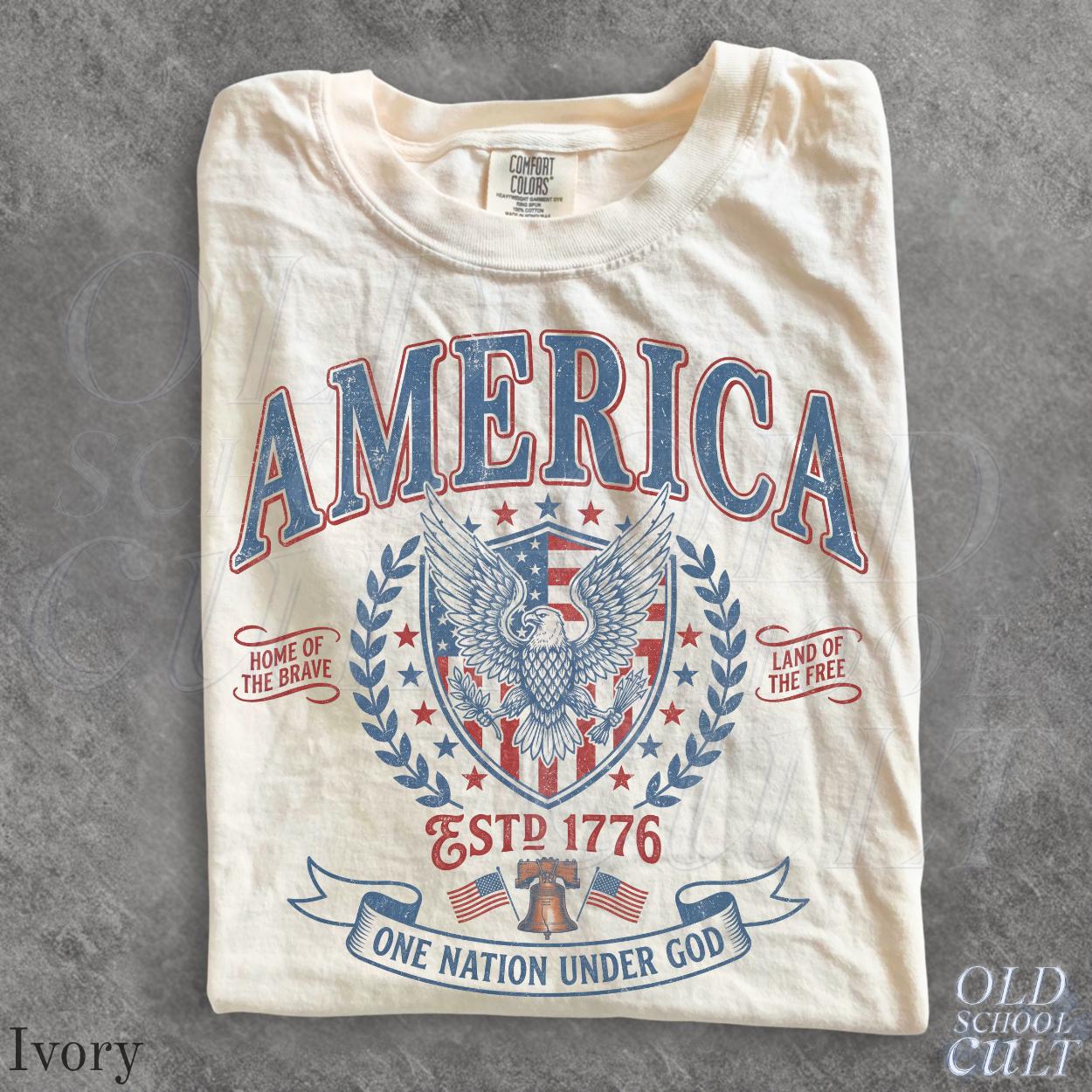 Vintage America Patriotic Eagle Usa Independence Day - Adult & Kids T-Shirts, Sweatshirts & Hoodies apparel design preview 1