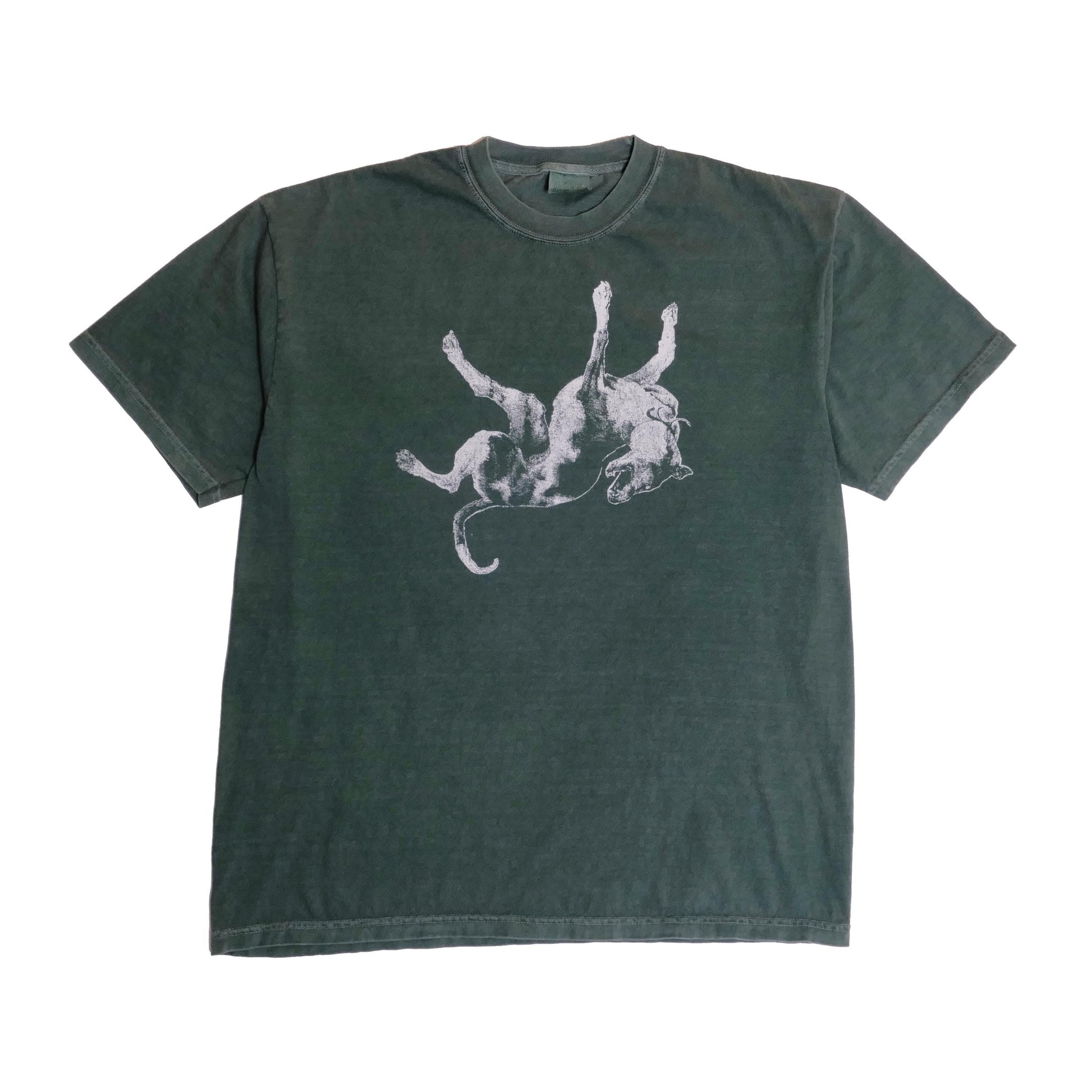 Jesus Lizard Down Dog Noise Art Post Punk Wave Austin - Adult & Kids T-Shirts, Sweatshirts & Hoodies apparel design preview 1