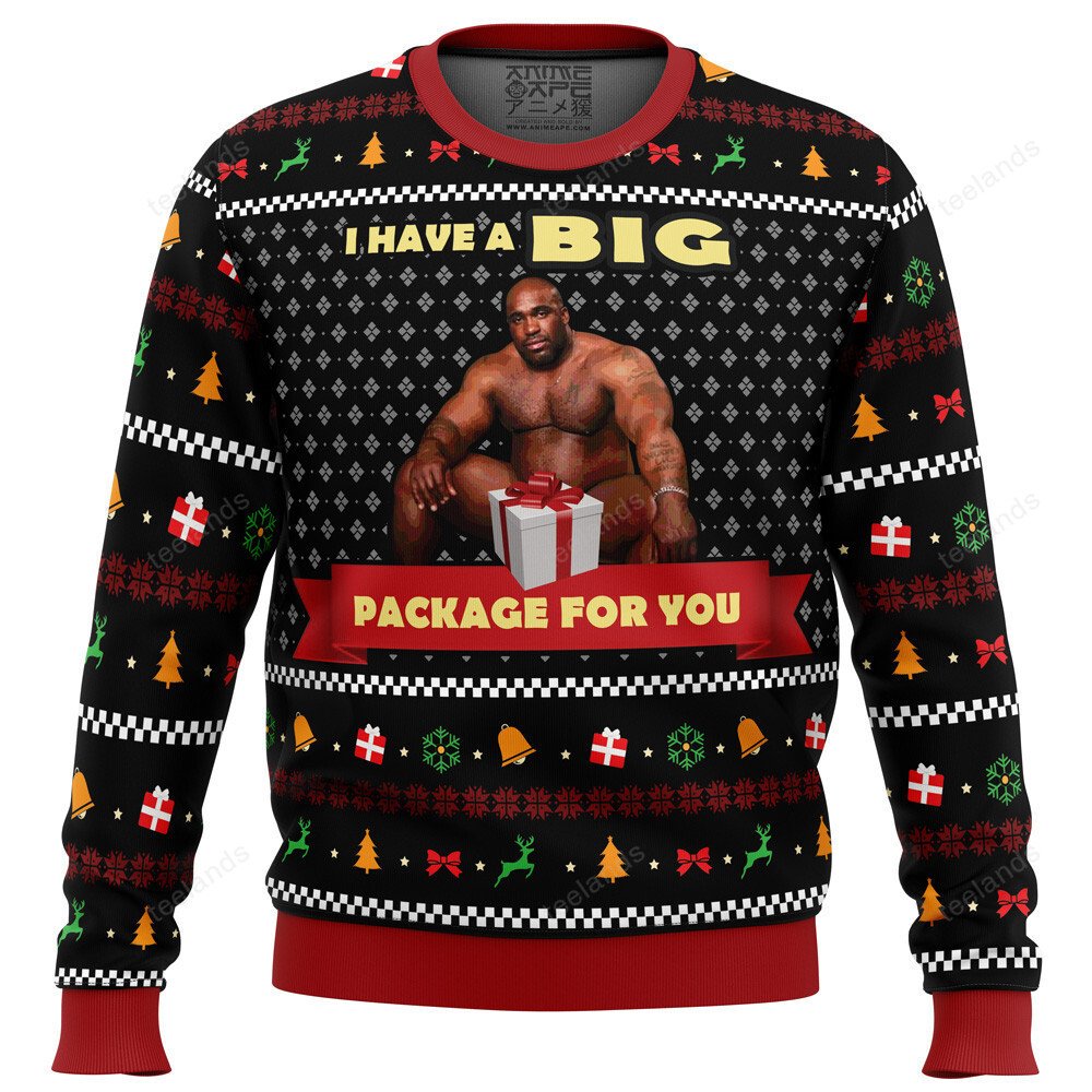Barry Wood i have a big package for you 3D Christmas Sweater - Holiday Gift product image