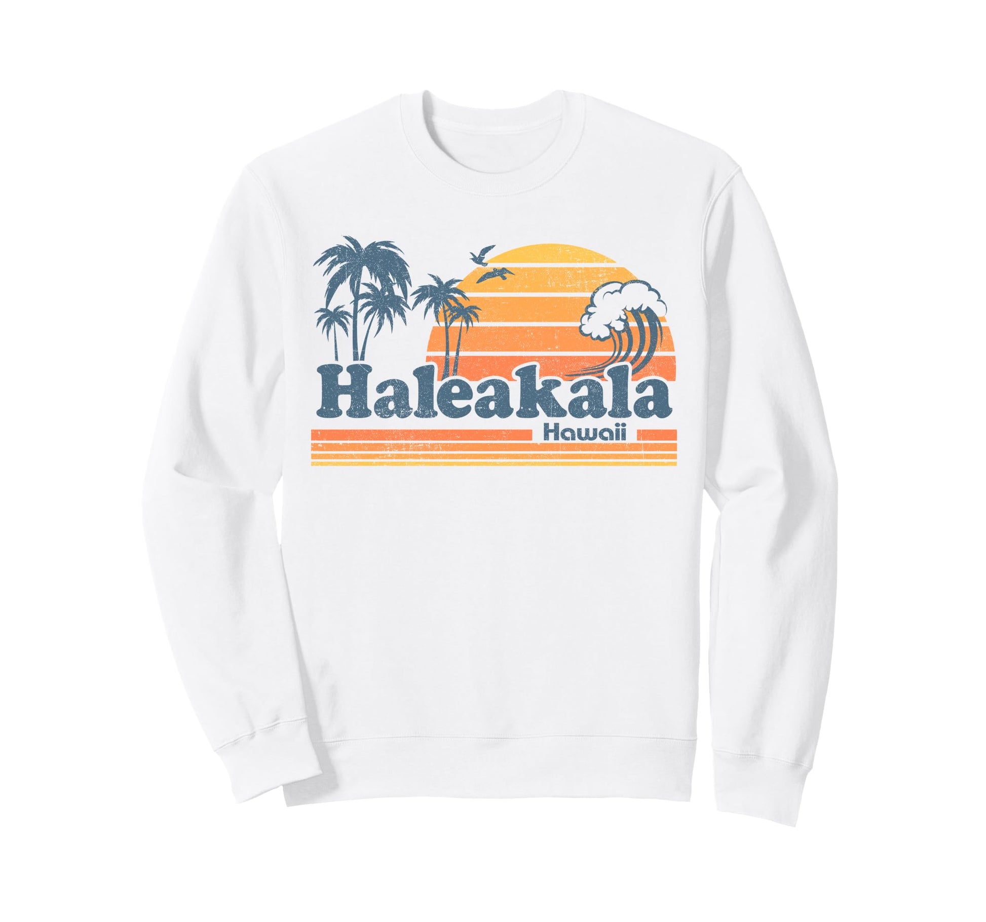 Haleakala Hawaii National Park Sweatshirt - Streetwear Style for Adults - T-Shirt, Sweatshirt, Hoodie