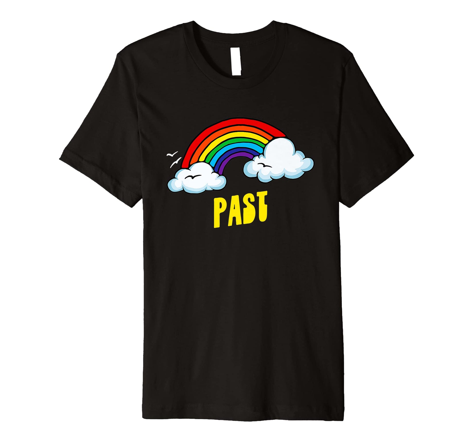 Past Funny Sarcastic Rainbow T-Shirt - Trendy Graphic for Adults - T-Shirt, Sweatshirt, Hoodie