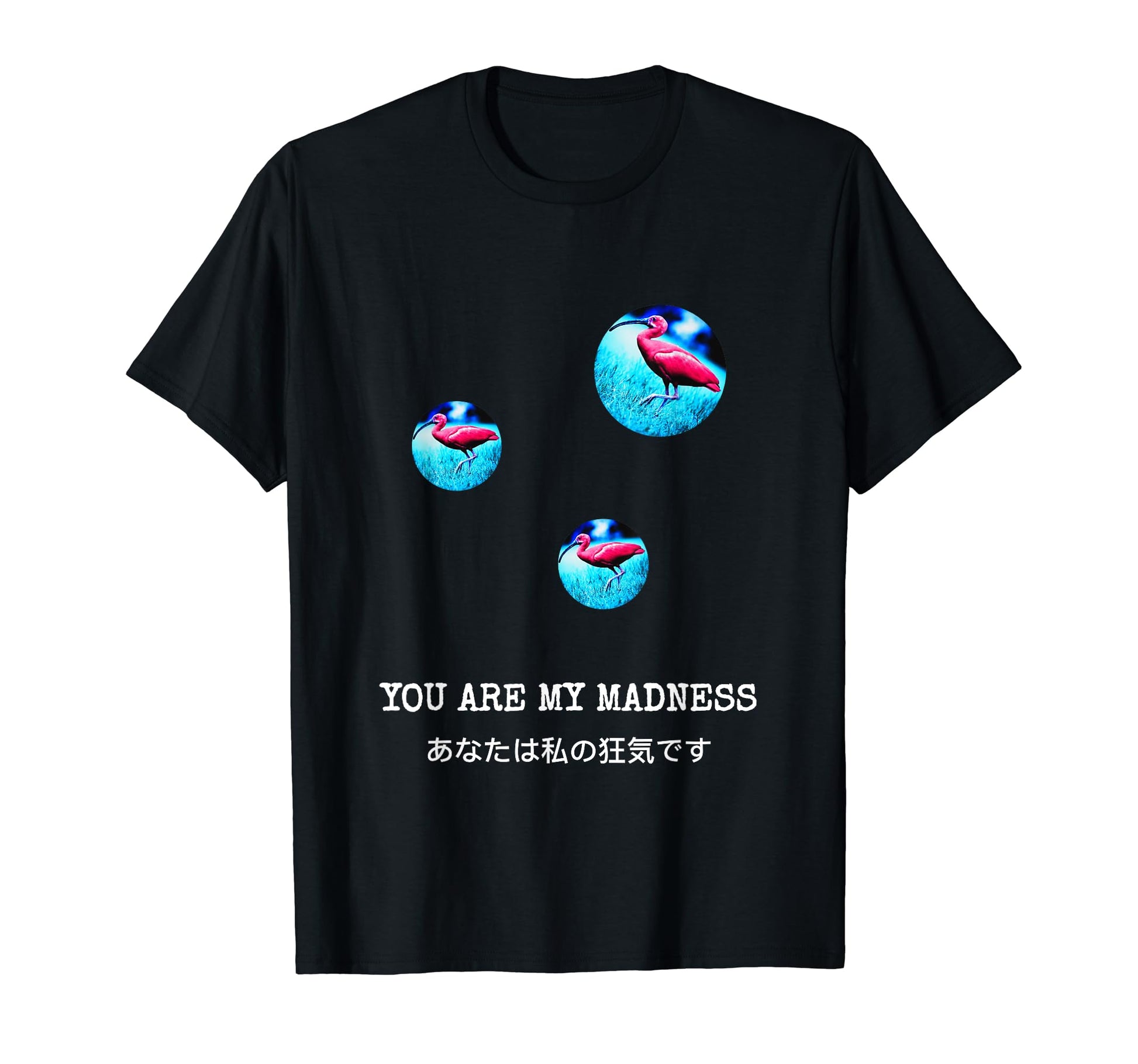 Aesthetic Japanese Spoonbill Bird T-Shirt - Aesthetic Graphic Unisex - T-Shirt, Sweatshirt, Hoodie