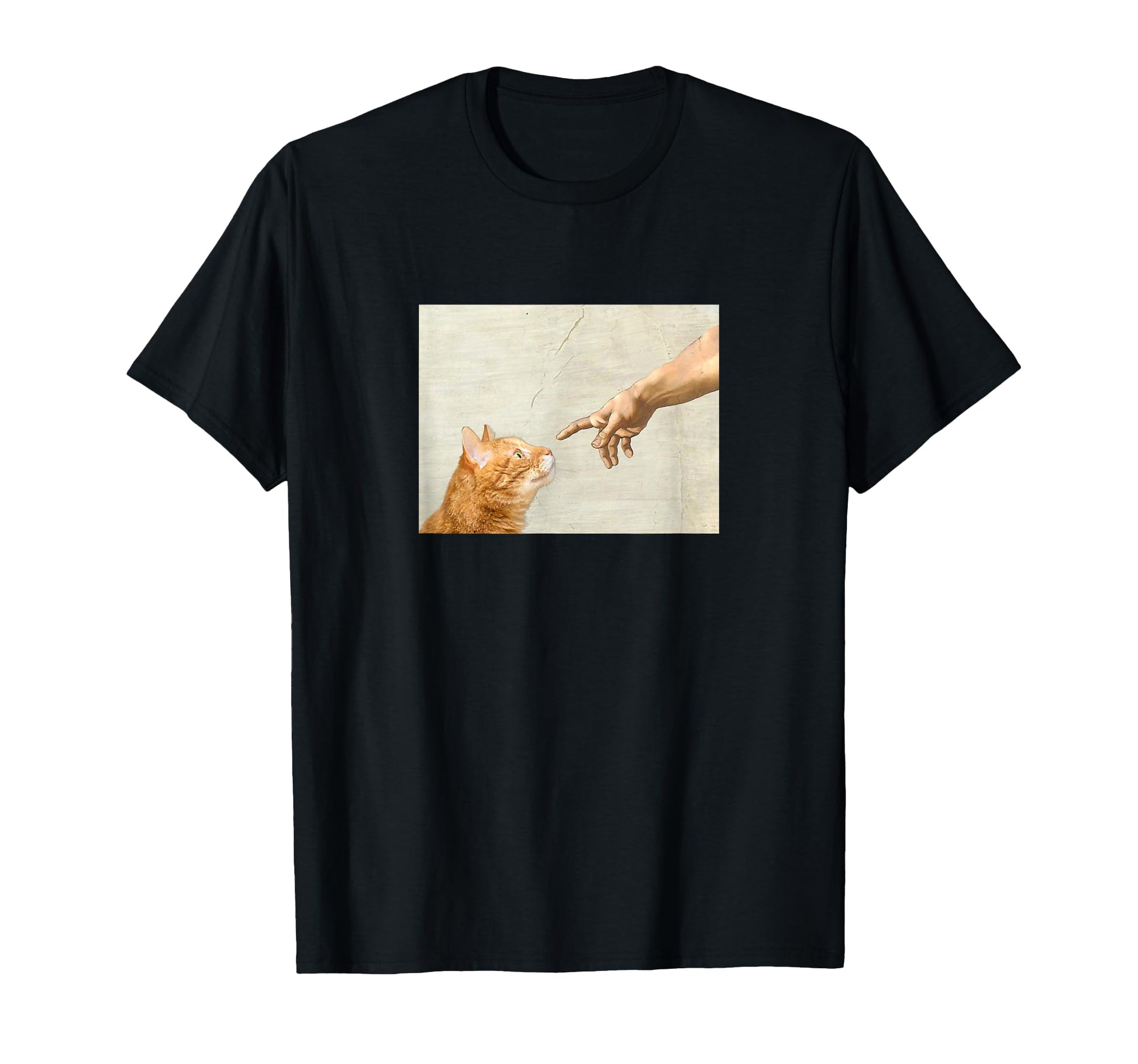 Indie Aesthetic Michaelangelo Creation T-Shirt - Novelty Apparel Men Women - T-Shirt, Sweatshirt, Hoodie