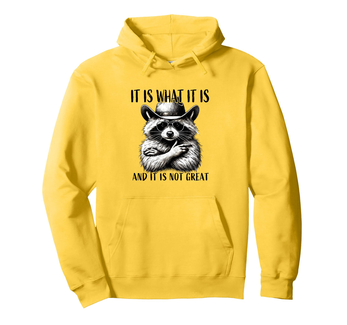 It Is What It Is And It Is Not Great Hoodie - Aesthetic Graphic for Adults - T-Shirt, Sweatshirt, Hoodie
