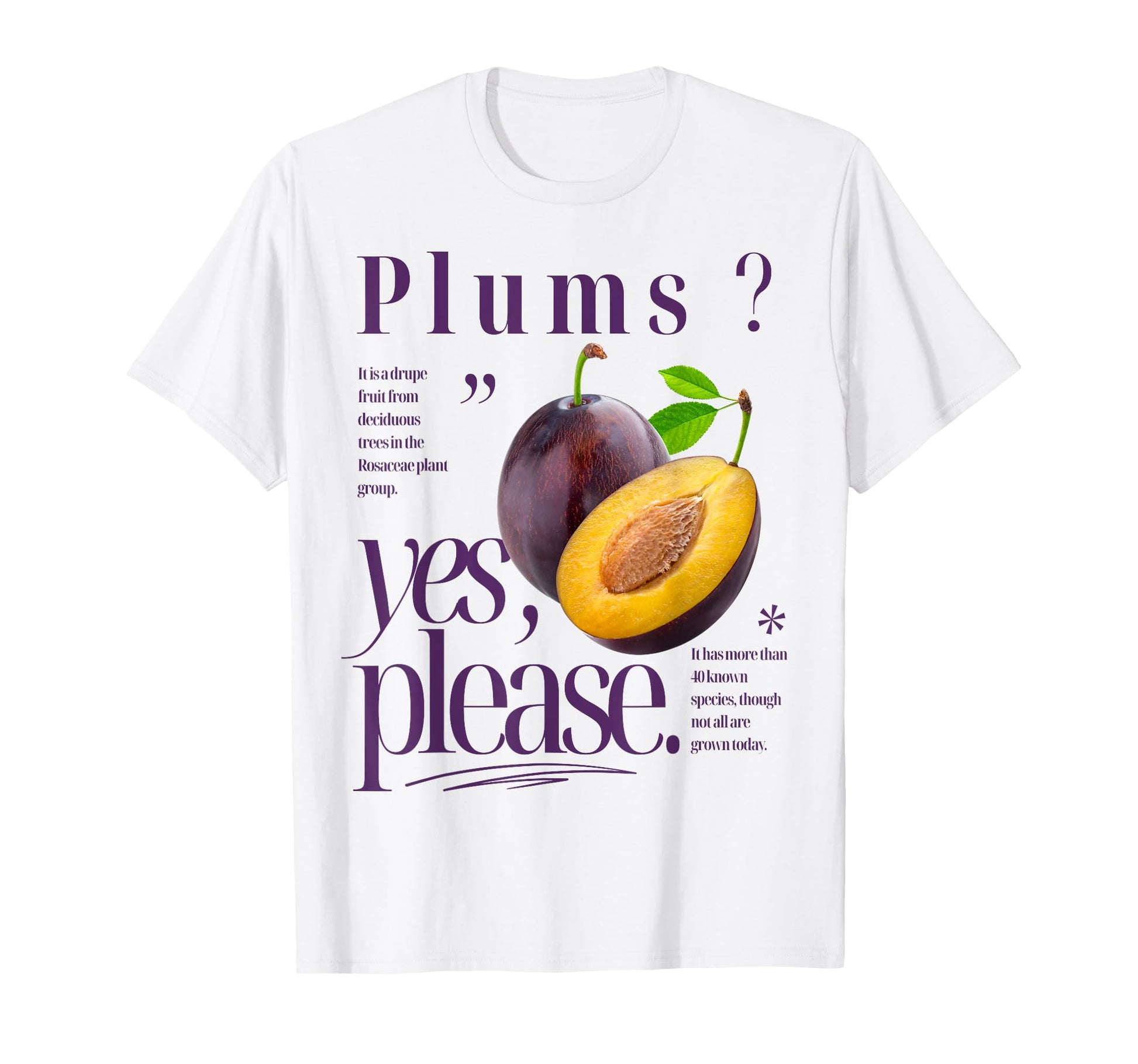Plums Yes Please Fruit Typography Plum T-Shirt - Fun Novelty Design Unisex - T-Shirt, Sweatshirt, Hoodie