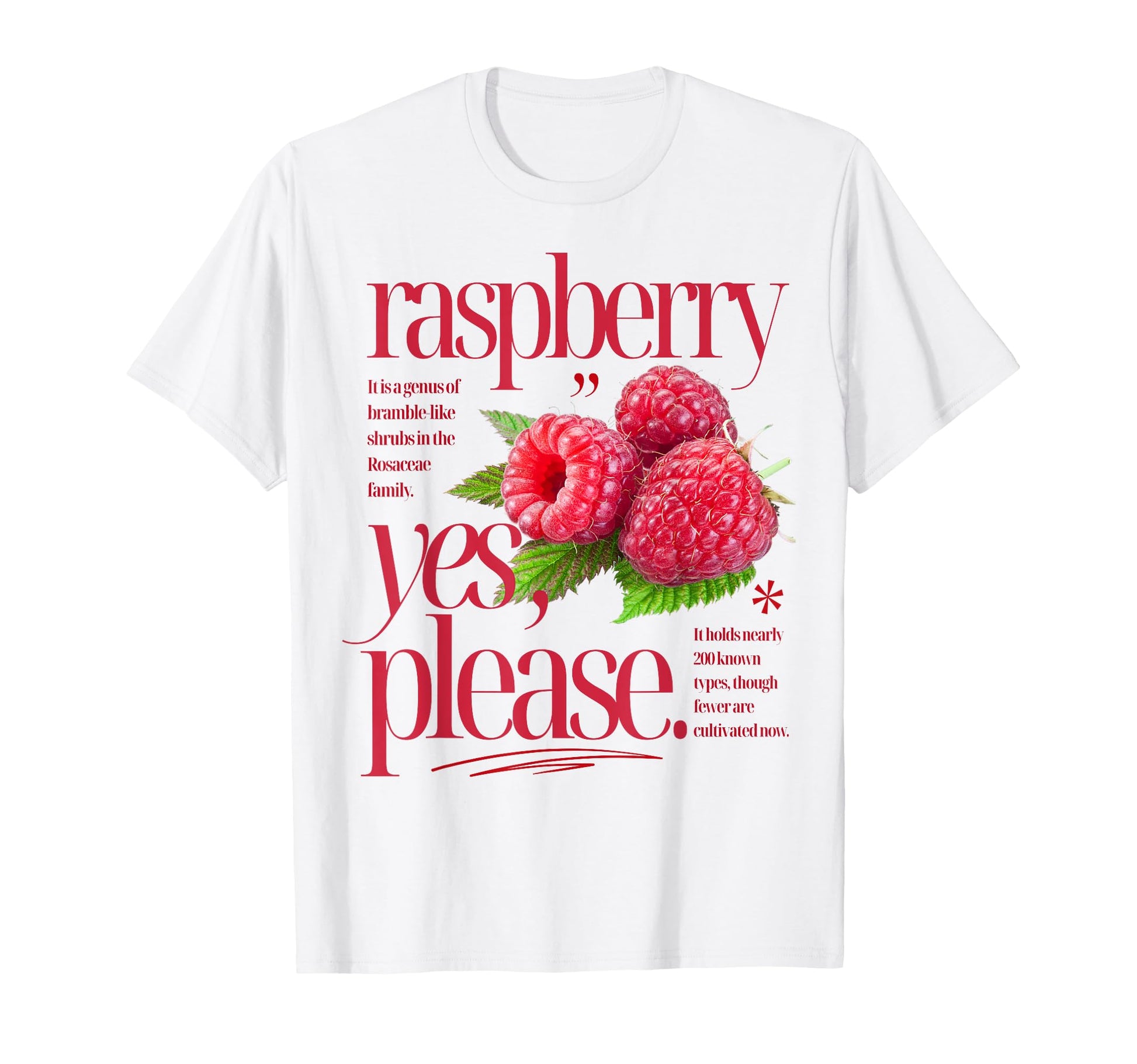 Raspberry Yes Please Fruit T-Shirt - Fun Novelty Design Men Women - T-Shirt, Sweatshirt, Hoodie