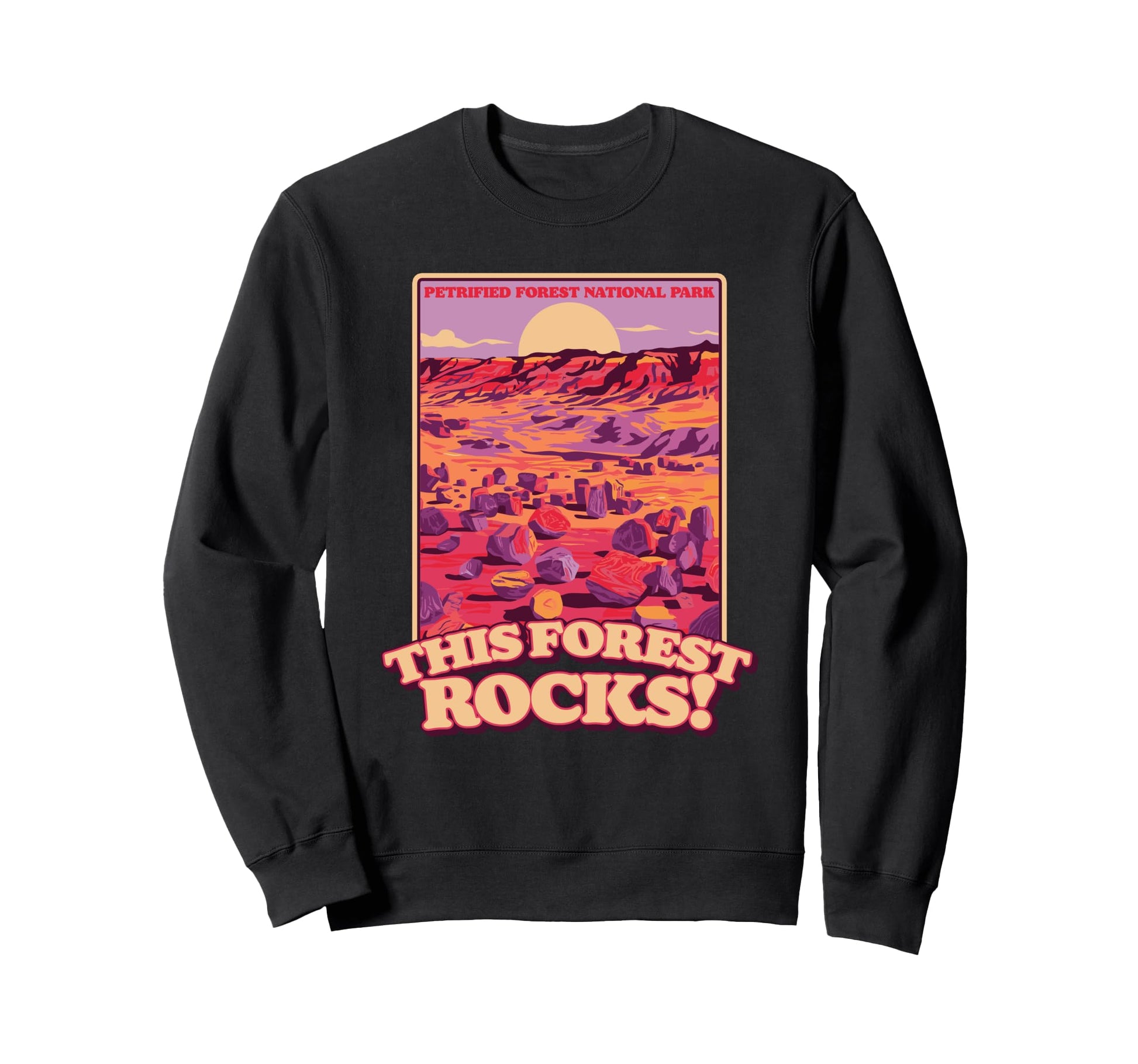 Petrified Forest National Park Sweatshirt - Custom Art Print Men Women - T-Shirt, Sweatshirt, Hoodie
