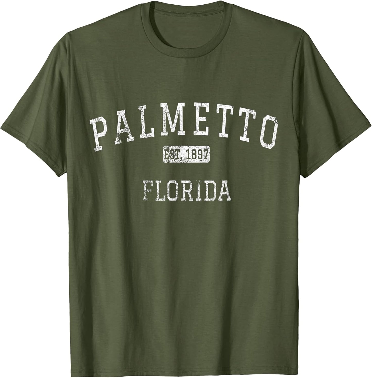 Palmetto Florida Vintage - Adult & Kids T-Shirts, Sweatshirts & Hoodies apparel design preview 1