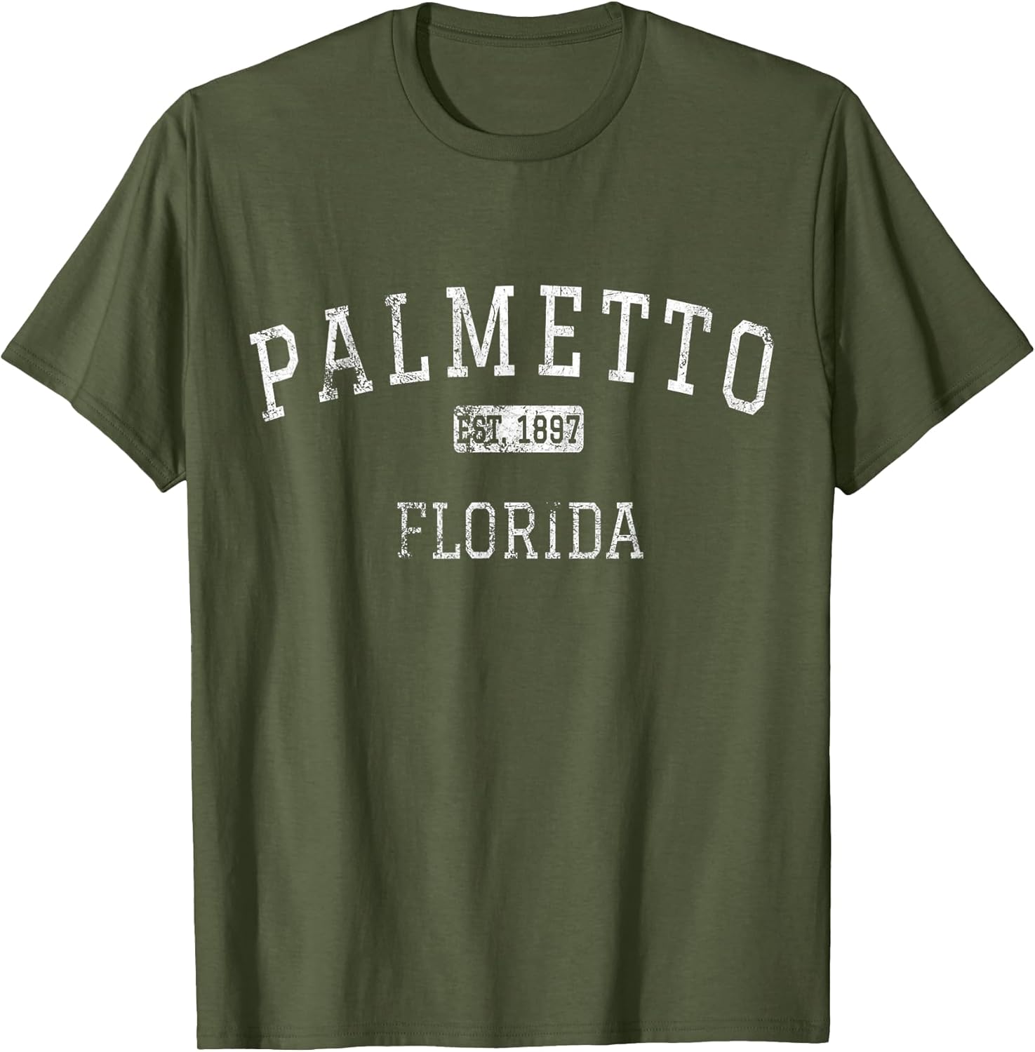 Palmetto Florida Vintage - Adult & Kids T-Shirts, Sweatshirts & Hoodies apparel design preview 1