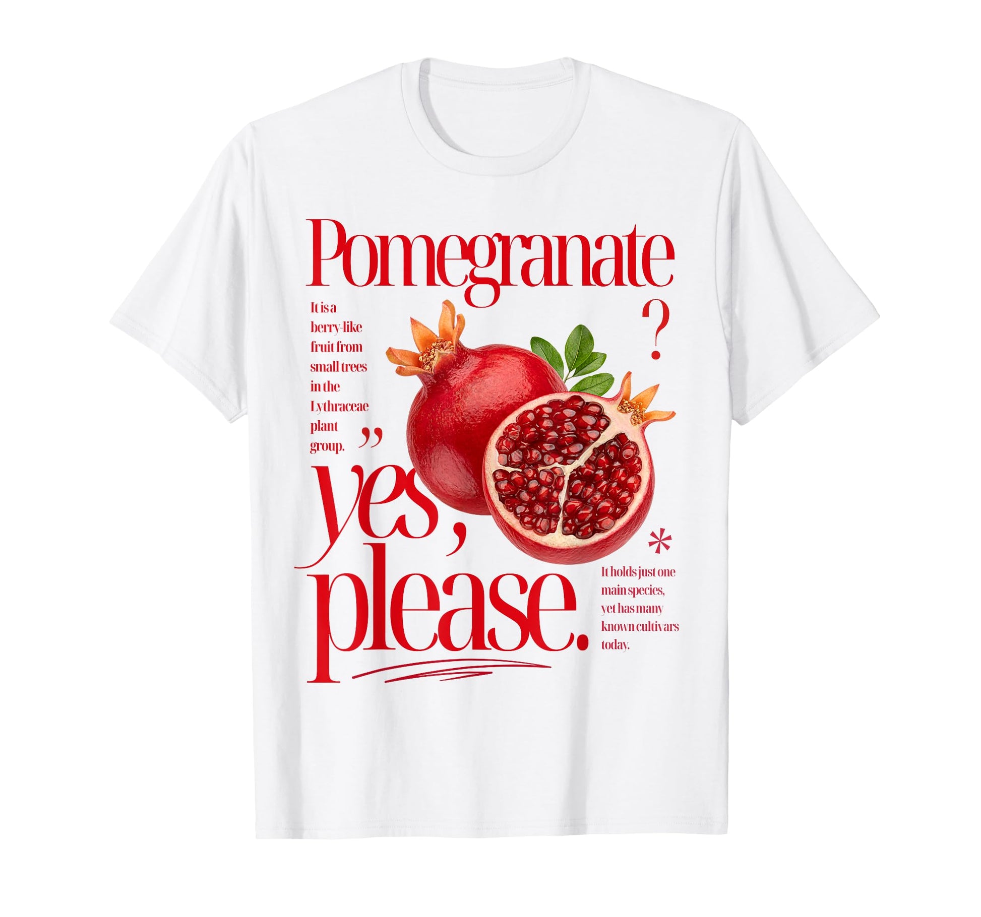 Pomegranate Yes Please Fruit Typography T-Shirt - Trendy Graphic Unisex - T-Shirt, Sweatshirt, Hoodie
