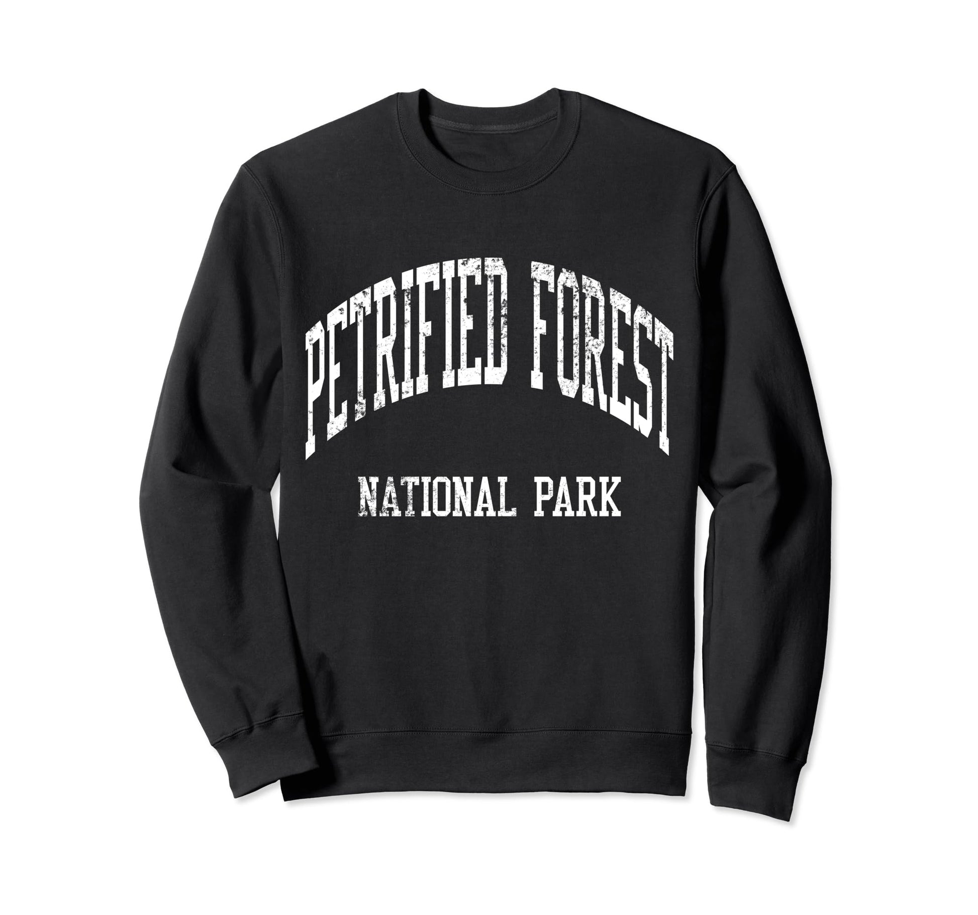 Petrified Forest National Park Sweatshirt - Streetwear Style for Adults - T-Shirt, Sweatshirt, Hoodie