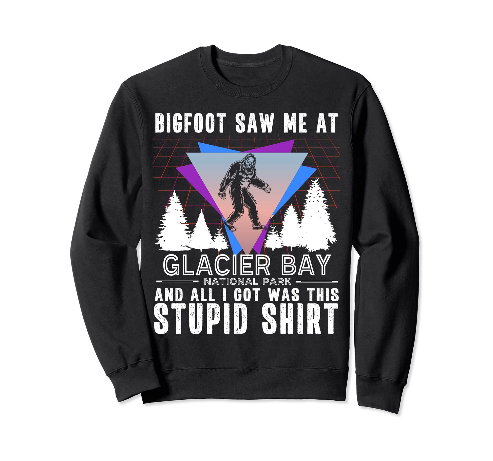 Glacier Bay National Park Alaska Sweatshirt - Trendy Graphic for Adults - T-Shirt, Sweatshirt, Hoodie