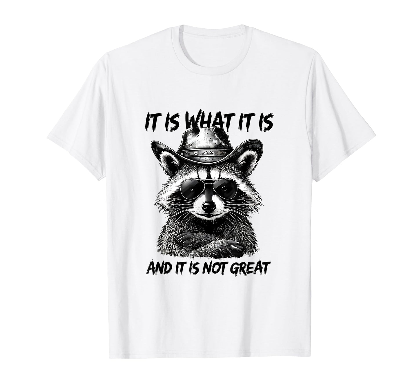 It Is What It Is And It Is Not Great T-Shirt - Minimalist Print Men Women - T-Shirt, Sweatshirt, Hoodie