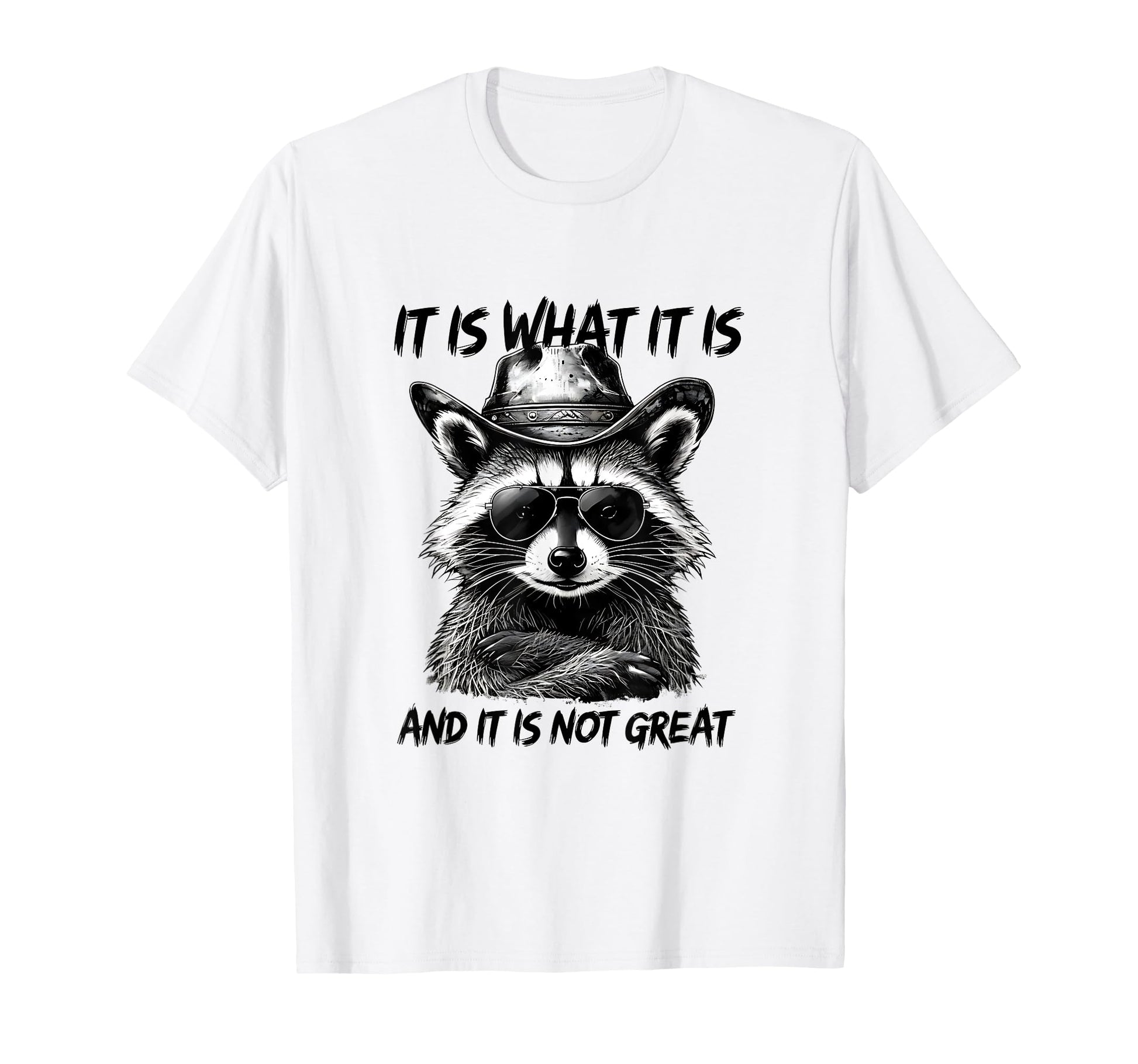 It Is What It Is And It Is Not Great T-Shirt - Minimalist Print Men Women - T-Shirt, Sweatshirt, Hoodie