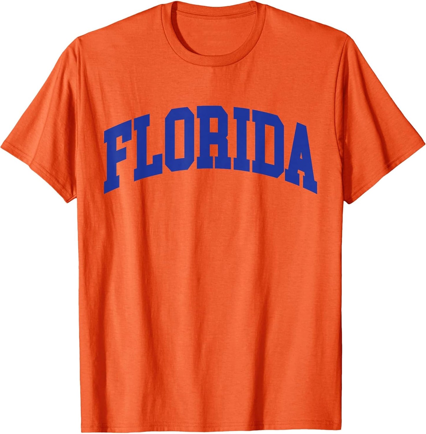 Vintage Florida Men Women Retro FL Gifts - Adult & Kids T-Shirts, Sweatshirts & Hoodies apparel design preview 1