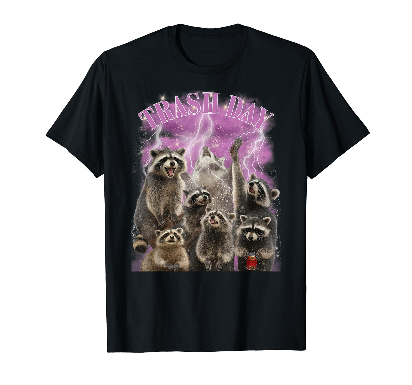 Racoon Meme 90S Rock Inspired Grunge T-Shirt - Trendy Graphic Men Women - T-Shirt, Sweatshirt, Hoodie