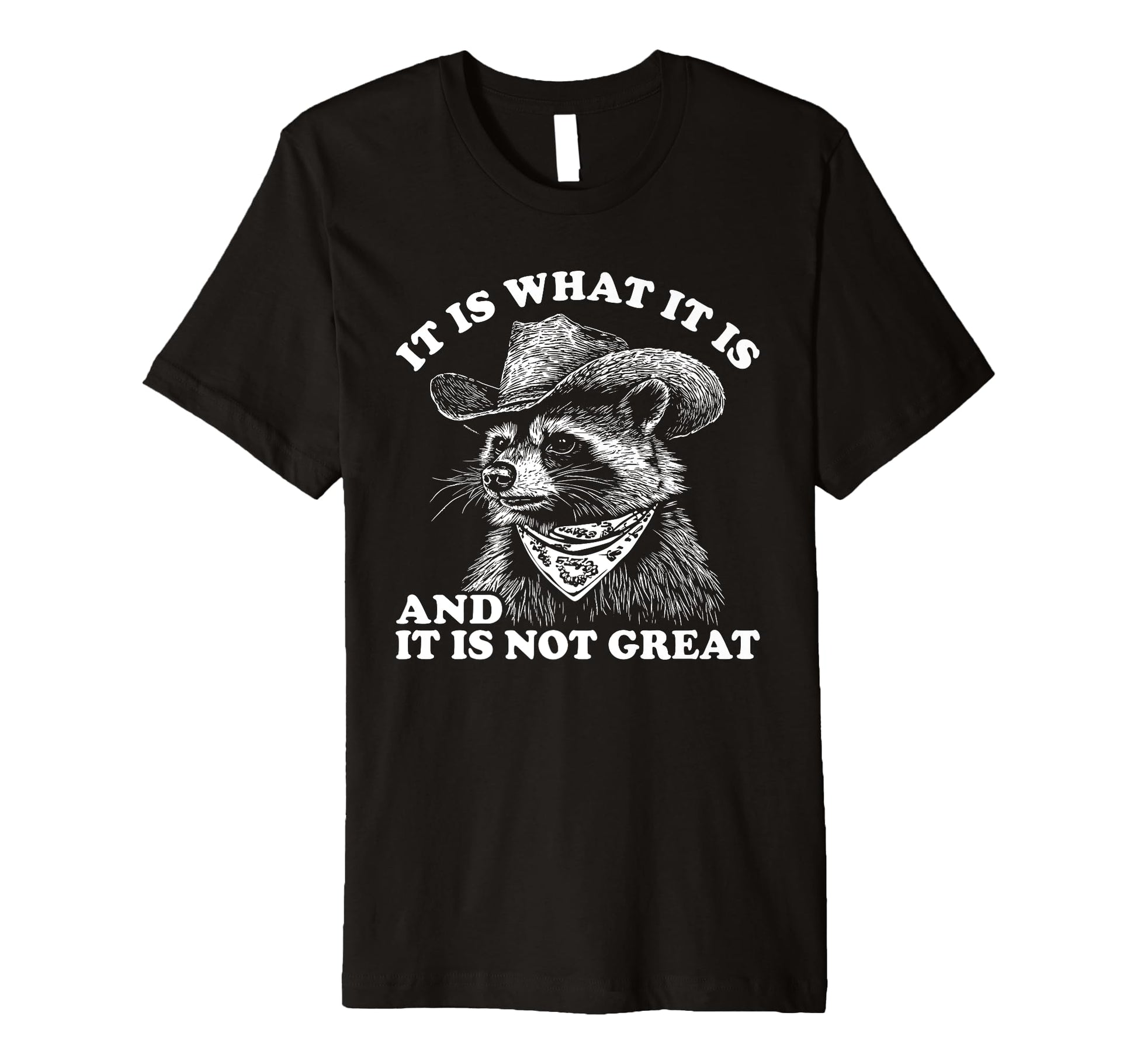 Funny Raccoon It Is What It Is Trash T-Shirt - Unique Graphic for Adults - T-Shirt, Sweatshirt, Hoodie