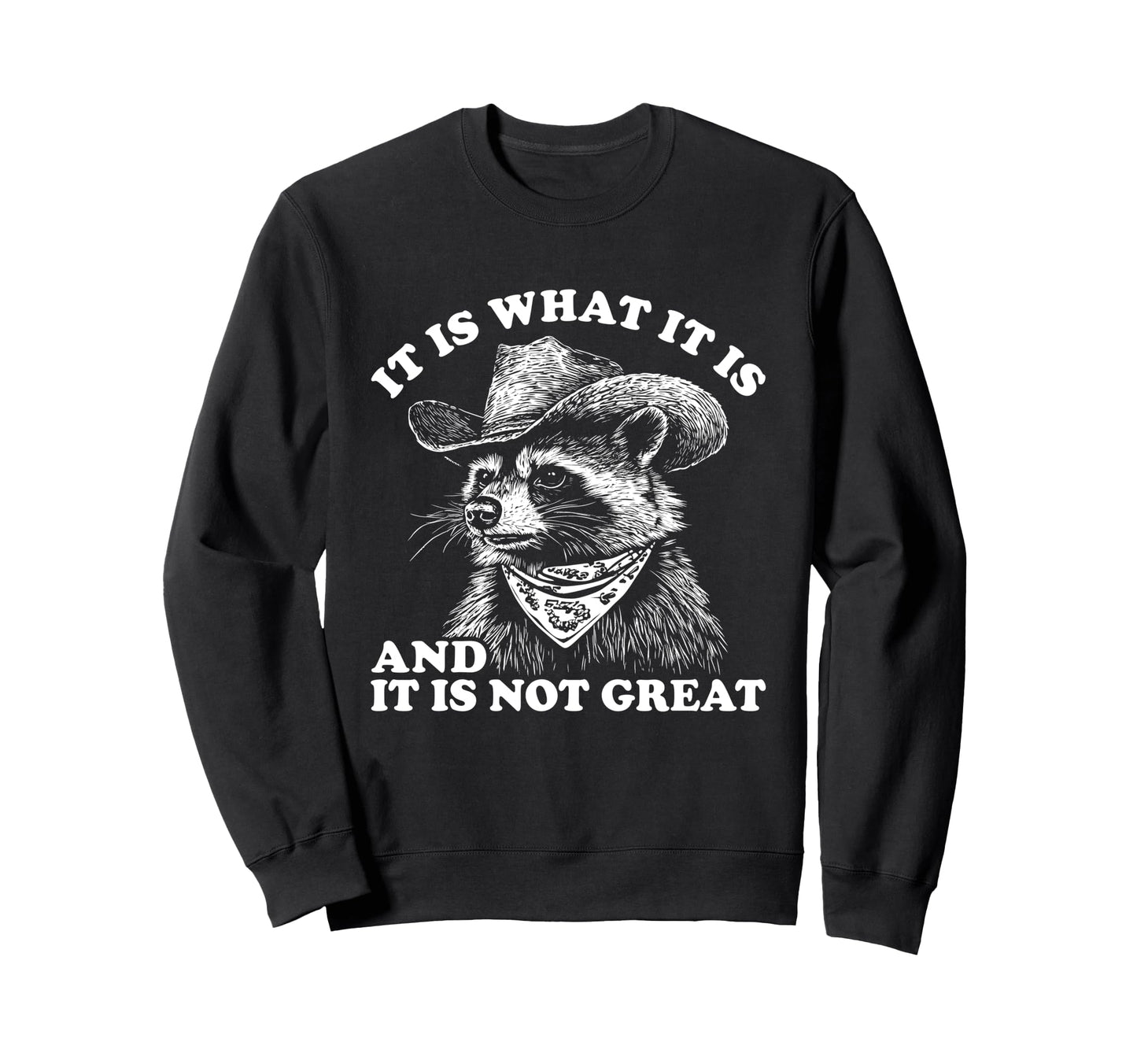 Funny Raccoon It Is What It Is Sweatshirt - Novelty Apparel Men Women - T-Shirt, Sweatshirt, Hoodie