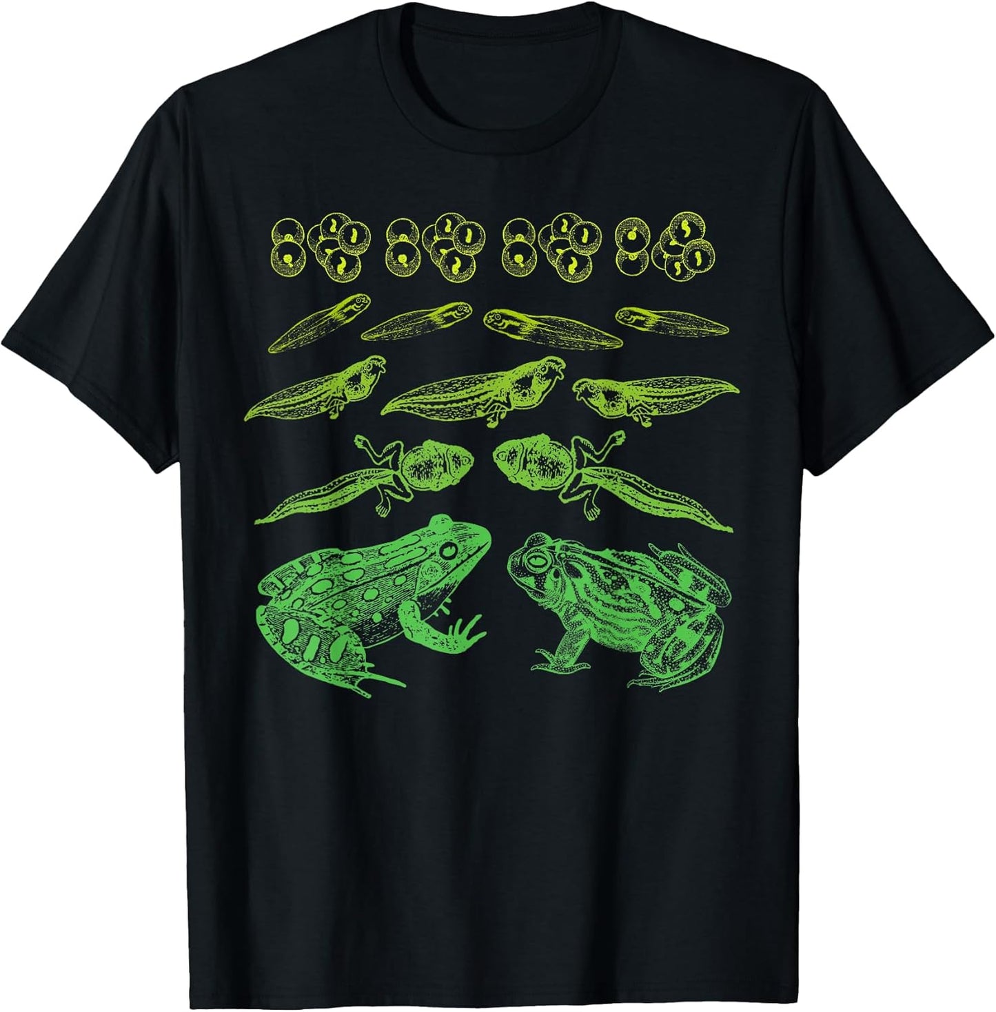Life Cycle of a Frog Merch - Adult & Kids T-Shirts, Sweatshirts & Hoodies apparel design preview 1