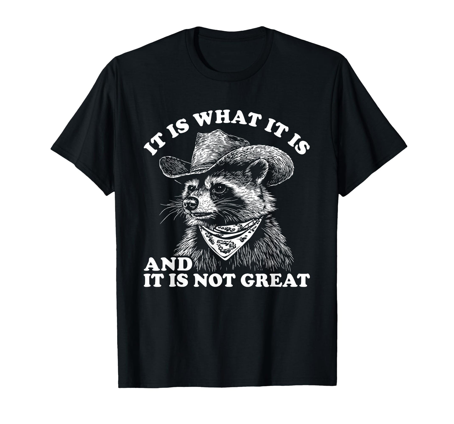 Funny Raccoon It Is What It Is T-Shirt - Casual Everyday Wear Men Women - T-Shirt, Sweatshirt, Hoodie