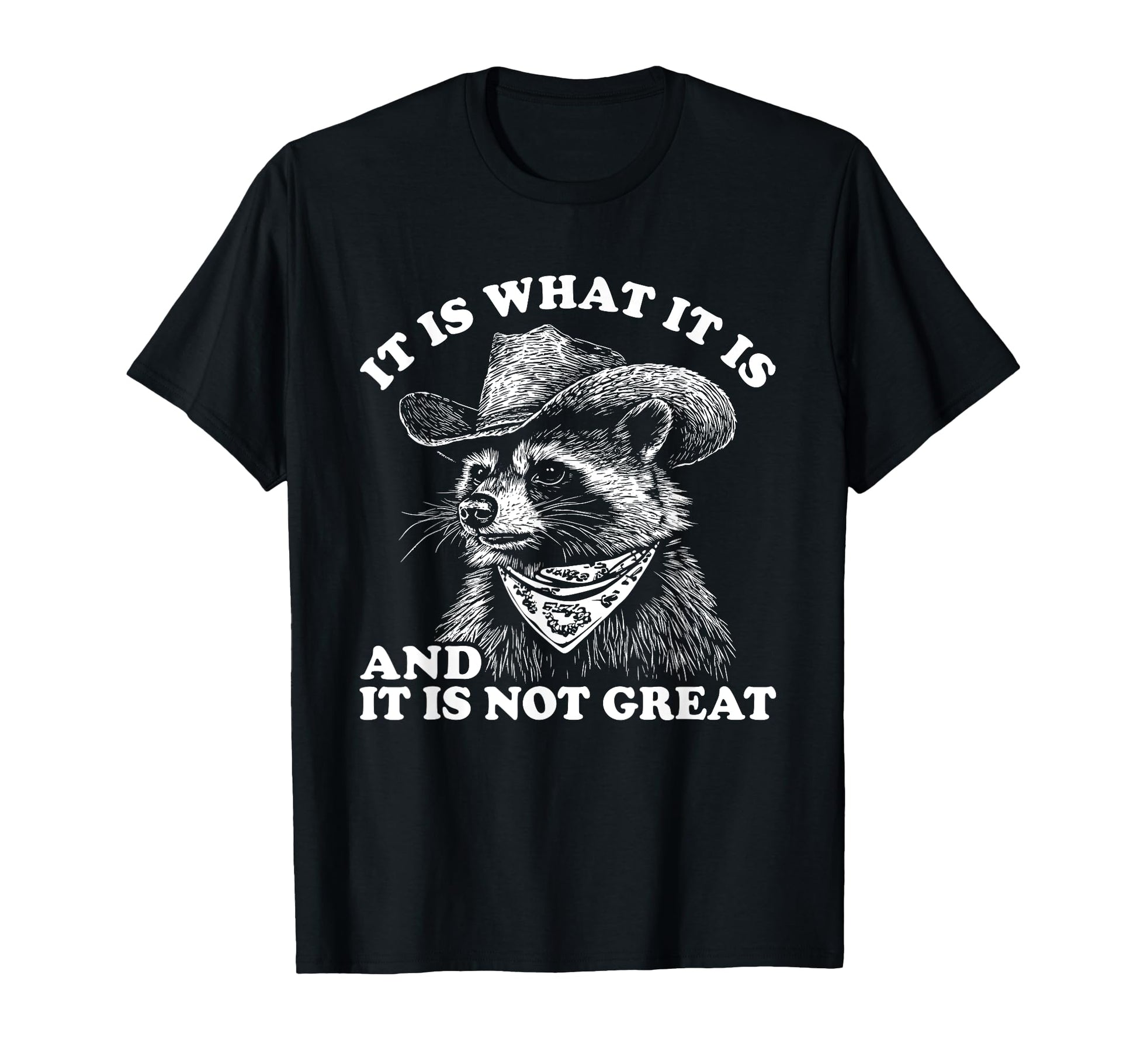 Funny Raccoon It Is What It Is T-Shirt - Casual Everyday Wear Men Women - T-Shirt, Sweatshirt, Hoodie