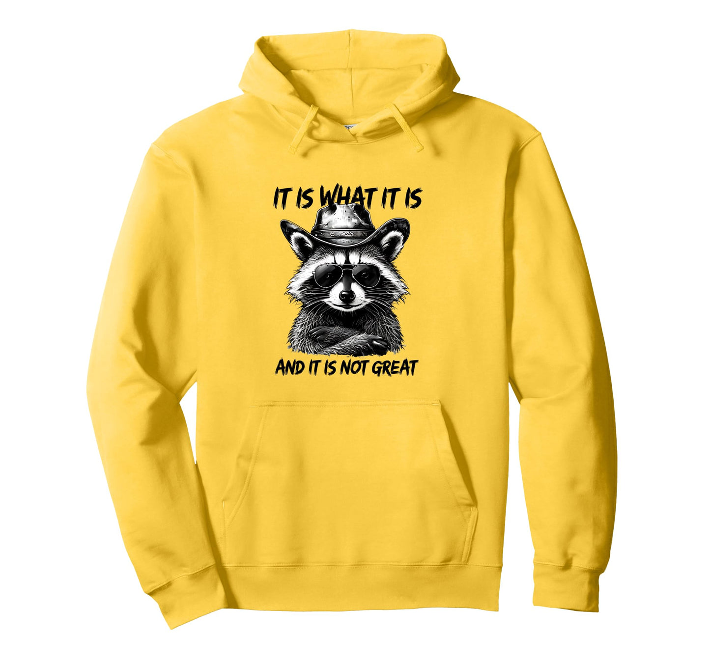 It Is What It Is And It Is Not Great Hoodie - Unique Graphic Men Women - T-Shirt, Sweatshirt, Hoodie