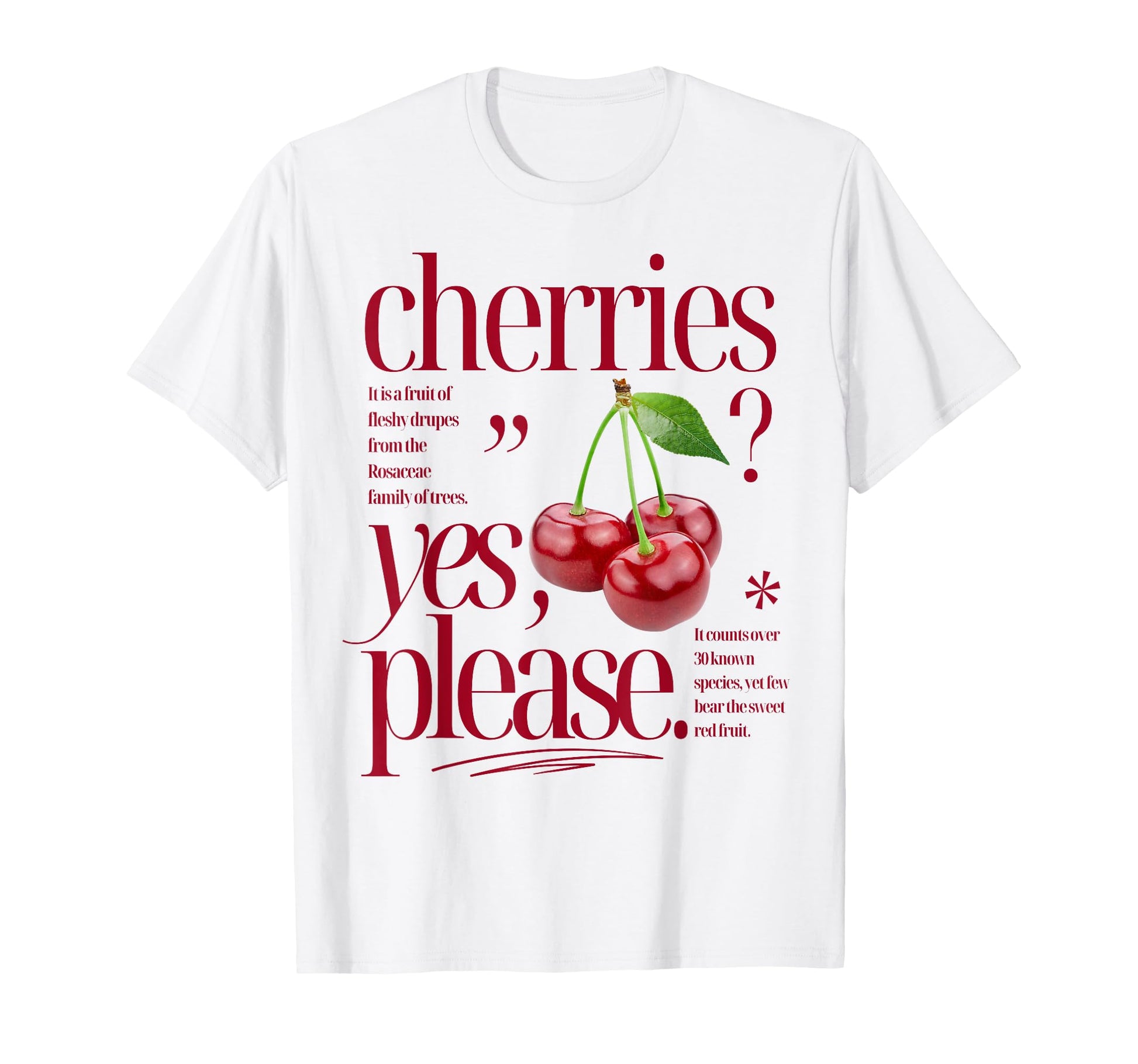 Cherries Yes Please Fruit T-Shirt - Aesthetic Graphic for Adults - T-Shirt, Sweatshirt, Hoodie