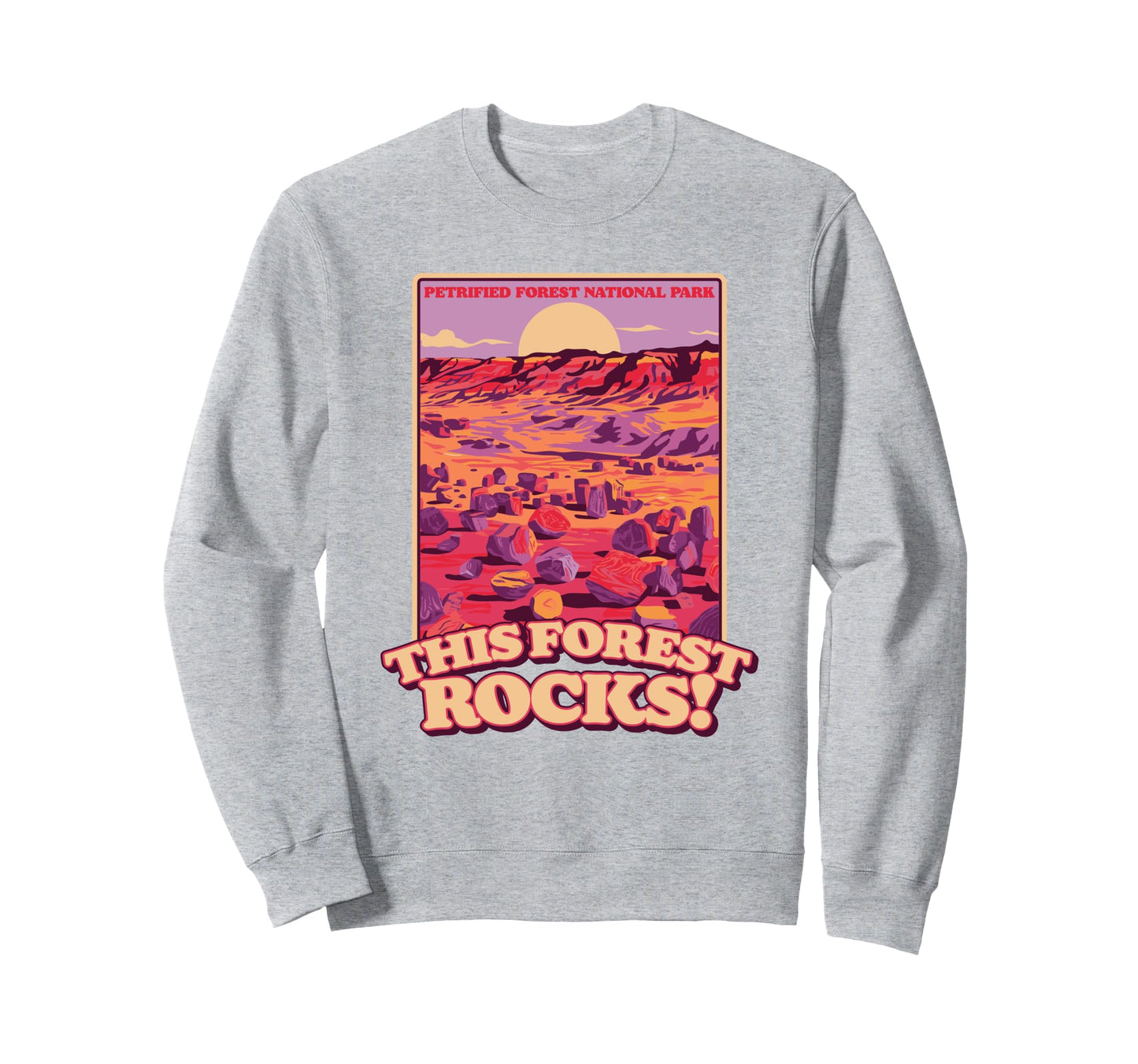 Petrified Forest National Park This Sweatshirt - Graphic Print Men Women - T-Shirt, Sweatshirt, Hoodie