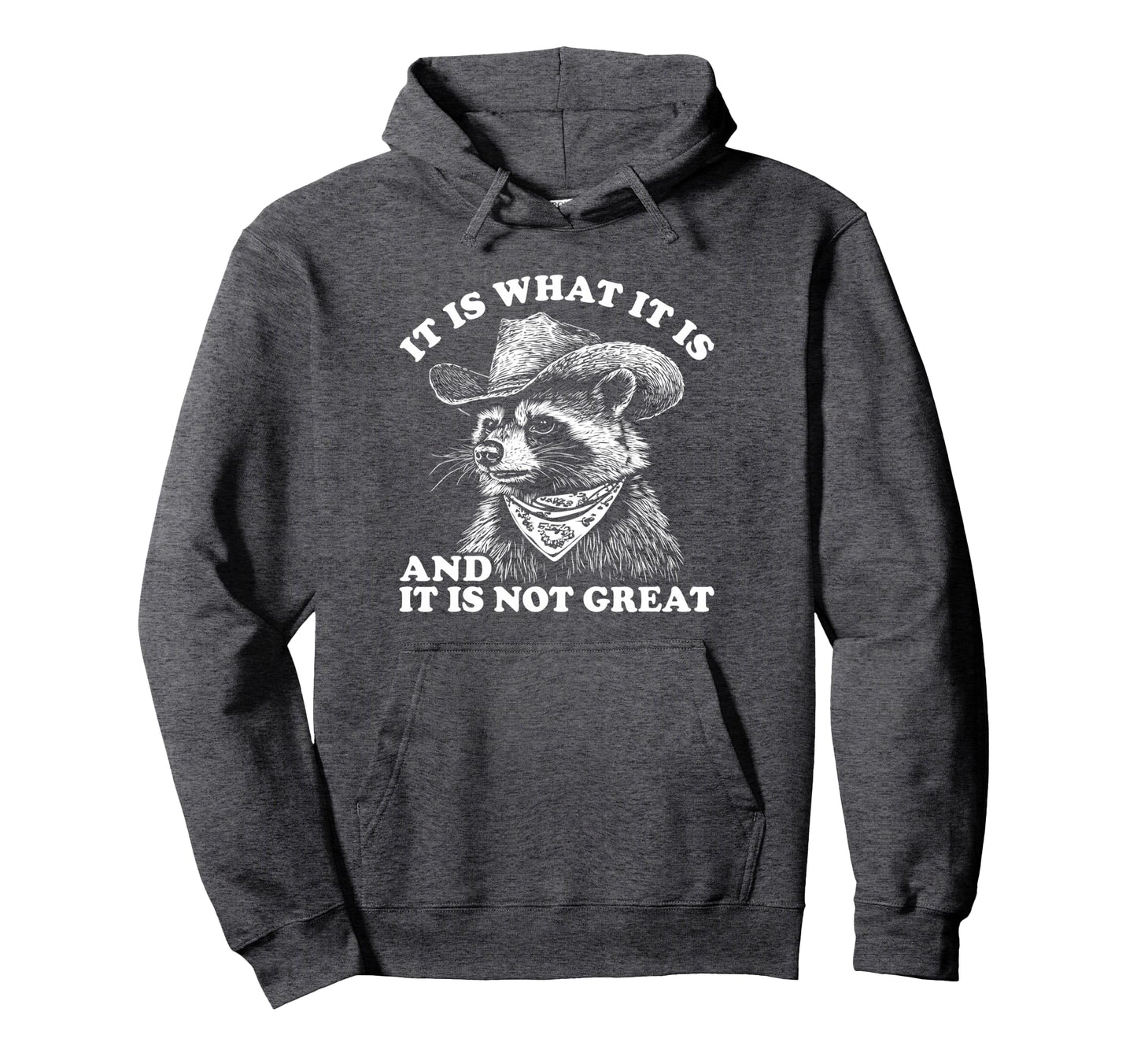 Funny Raccoon It Is What It Is Trash Panda Hoodie - Trendy Graphic Unisex - T-Shirt, Sweatshirt, Hoodie