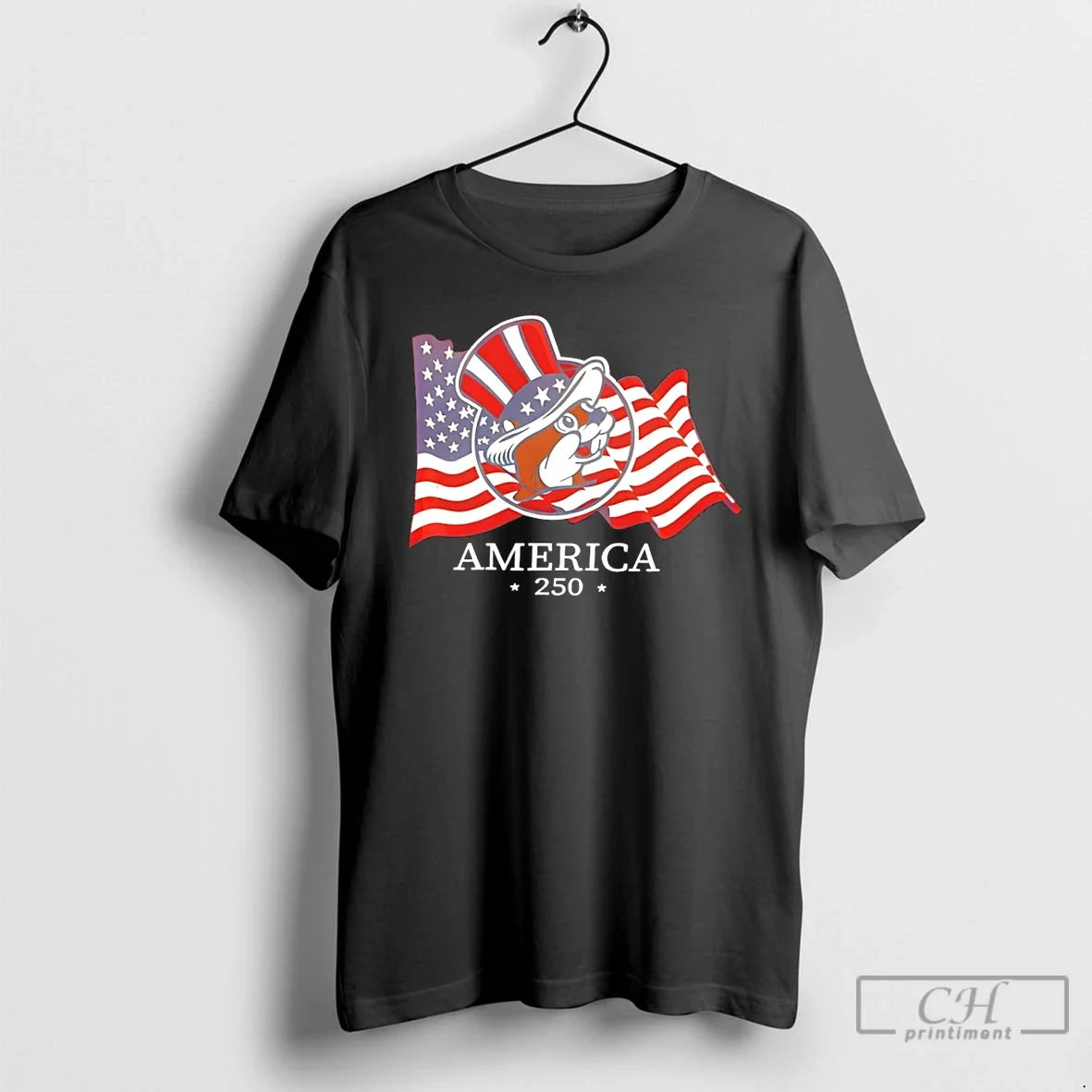 Classic Buc Ees America 250 Years Usa Flag - Adult & Kids T-Shirts, Sweatshirts & Hoodies apparel design preview 1