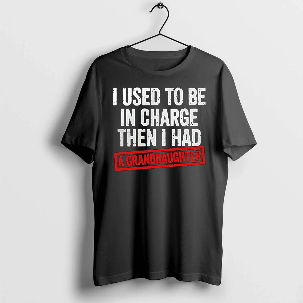 Classic I Used To Be In Charge Then Had A - Adult & Kids T-Shirts, Sweatshirts & Hoodies apparel design preview 1