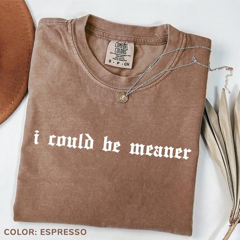 Comfort Colors I Could Be Meaner Sarcastic Funny - Adult & Kids T-Shirts, Sweatshirts & Hoodies apparel design preview 1