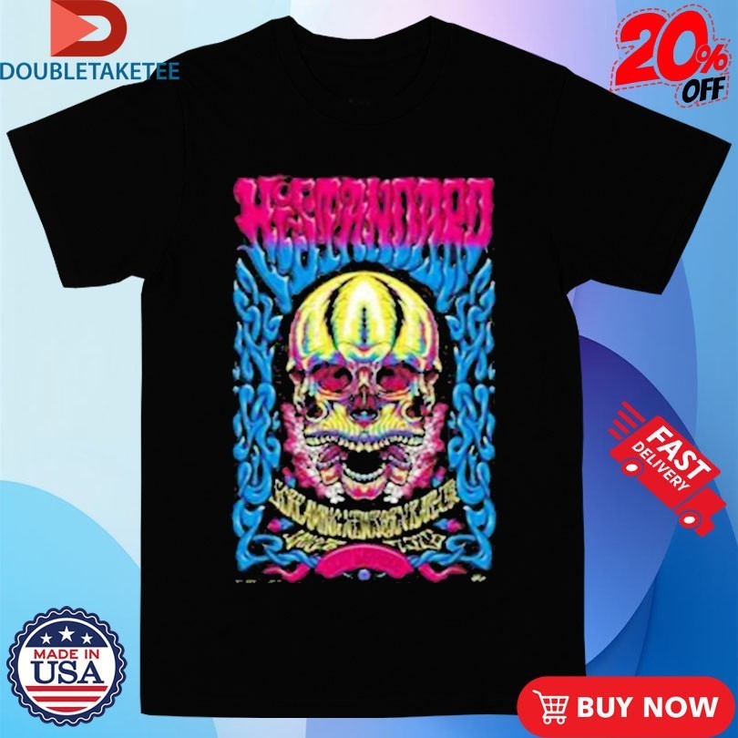 Hi-Standard Zepp Sapporo 2026 Tour Skull - Adult & Kids T-Shirts, Sweatshirts & Hoodies apparel design preview 1