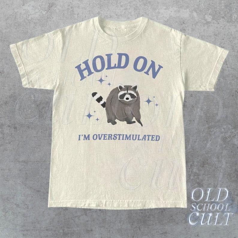 Hold I'M Overstimulated Retro Funny Raccoon Meme - Adult & Kids T-Shirts, Sweatshirts & Hoodies apparel design preview 1