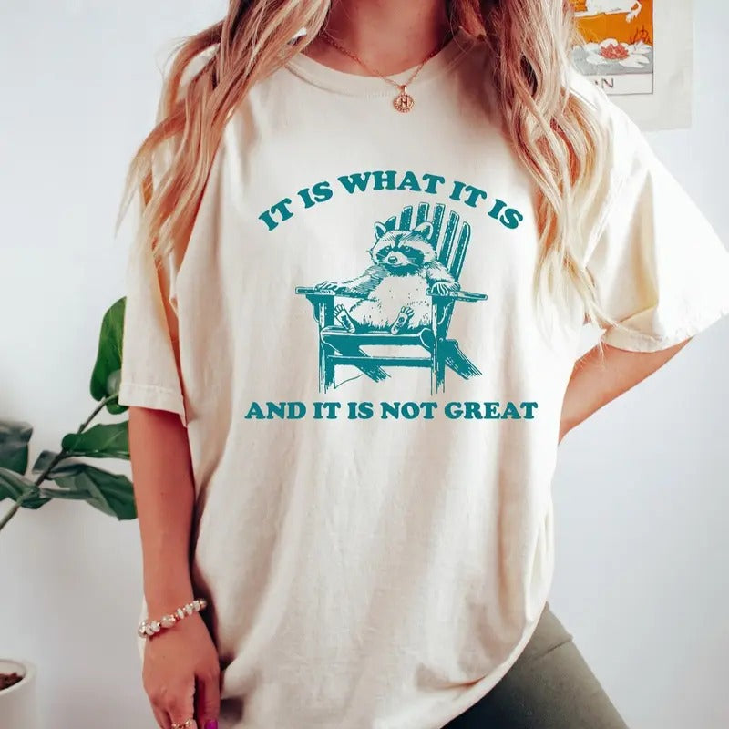 Is What Not Great Mental Health Funny Meme Raccoon - Adult & Kids T-Shirts, Sweatshirts & Hoodies apparel design preview 1