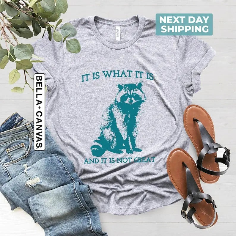 Is What Not Great Vintage Drawing Raccoon Meme - Adult & Kids T-Shirts, Sweatshirts & Hoodies apparel design preview 1