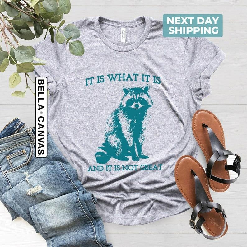 Is What Not Great Vintage Drawing Raccoon Meme - Adult & Kids T-Shirts, Sweatshirts & Hoodies apparel design preview 1