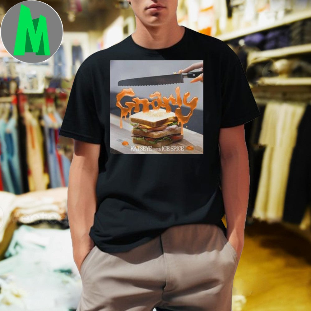 Katseye x Ice Spice Gnarly Sandwich Remix Single - Adult & Kids T-Shirts, Sweatshirts & Hoodies apparel design preview 1