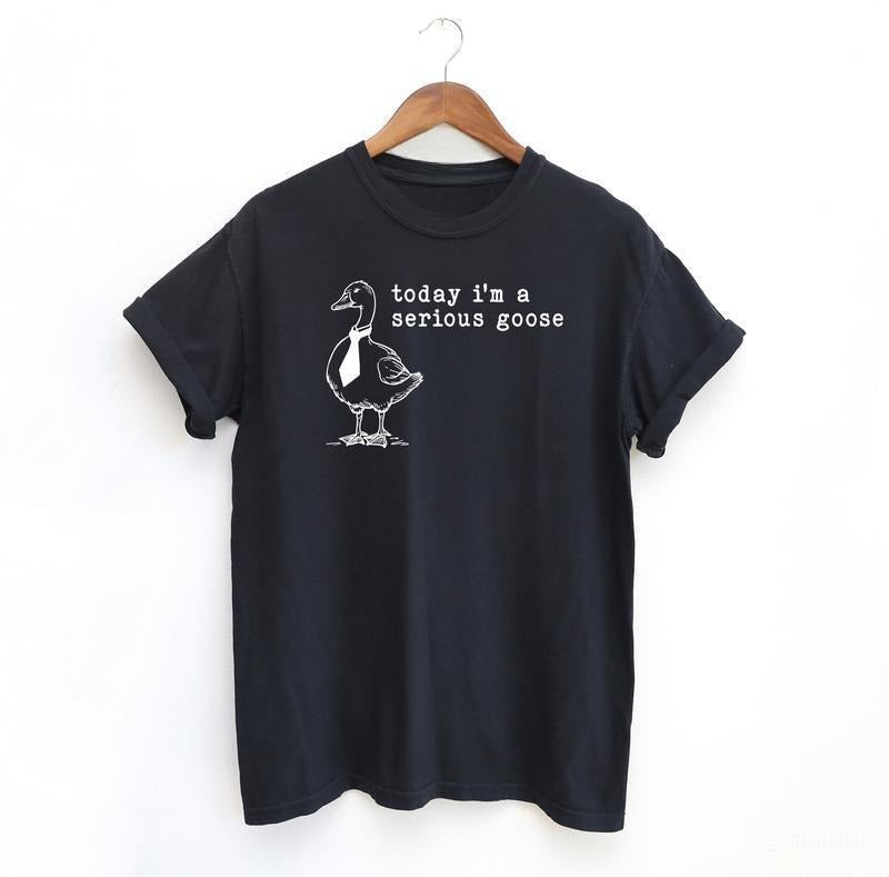 Serious Goose Funny Meme Menswear - Adult & Kids T-Shirts, Sweatshirts & Hoodies apparel design preview 1