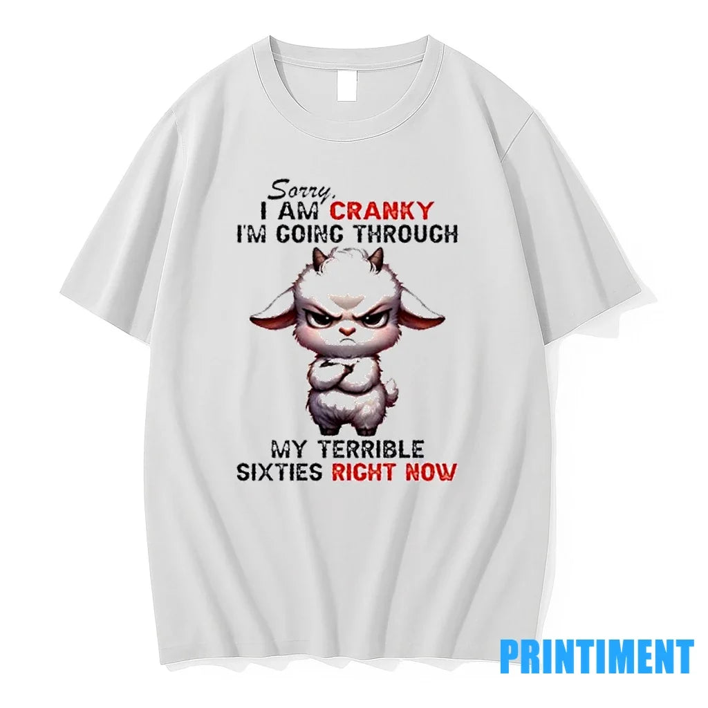 Sheep Sorry I Am Cranky Im Going Through My Terrible - Adult & Kids T-Shirts, Sweatshirts & Hoodies apparel design preview 1