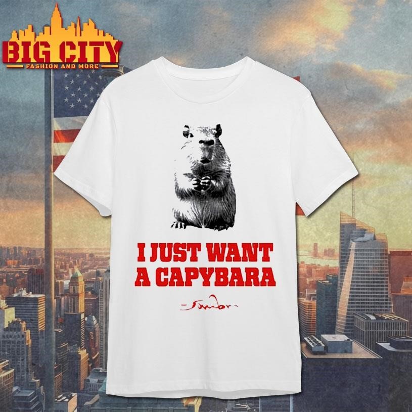 Sombr I Just Want A Capybara - Adult & Kids T-Shirts, Sweatshirts & Hoodies apparel design preview 1