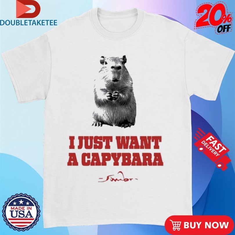 Sombr I Just Want A Capybara - Adult & Kids T-Shirts, Sweatshirts & Hoodies apparel design preview 1