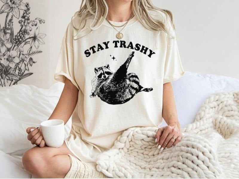 Stay Trashy Retro Funny Racoon Raccoon Lover Meme - Adult & Kids T-Shirts, Sweatshirts & Hoodies apparel design preview 1