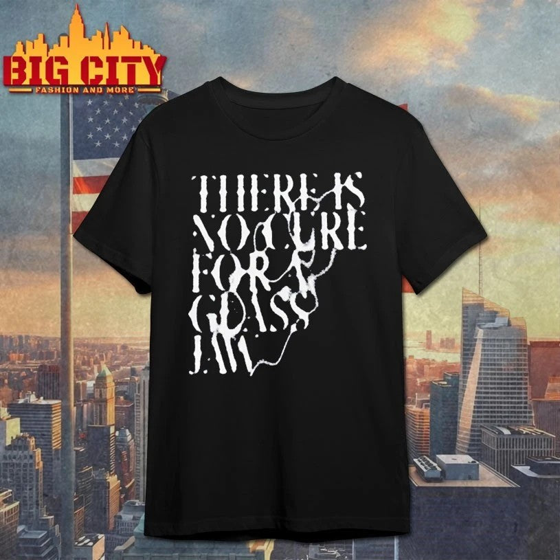 There Is No Cure For A Glass Jaw - Adult & Kids T-Shirts, Sweatshirts & Hoodies apparel design preview 1