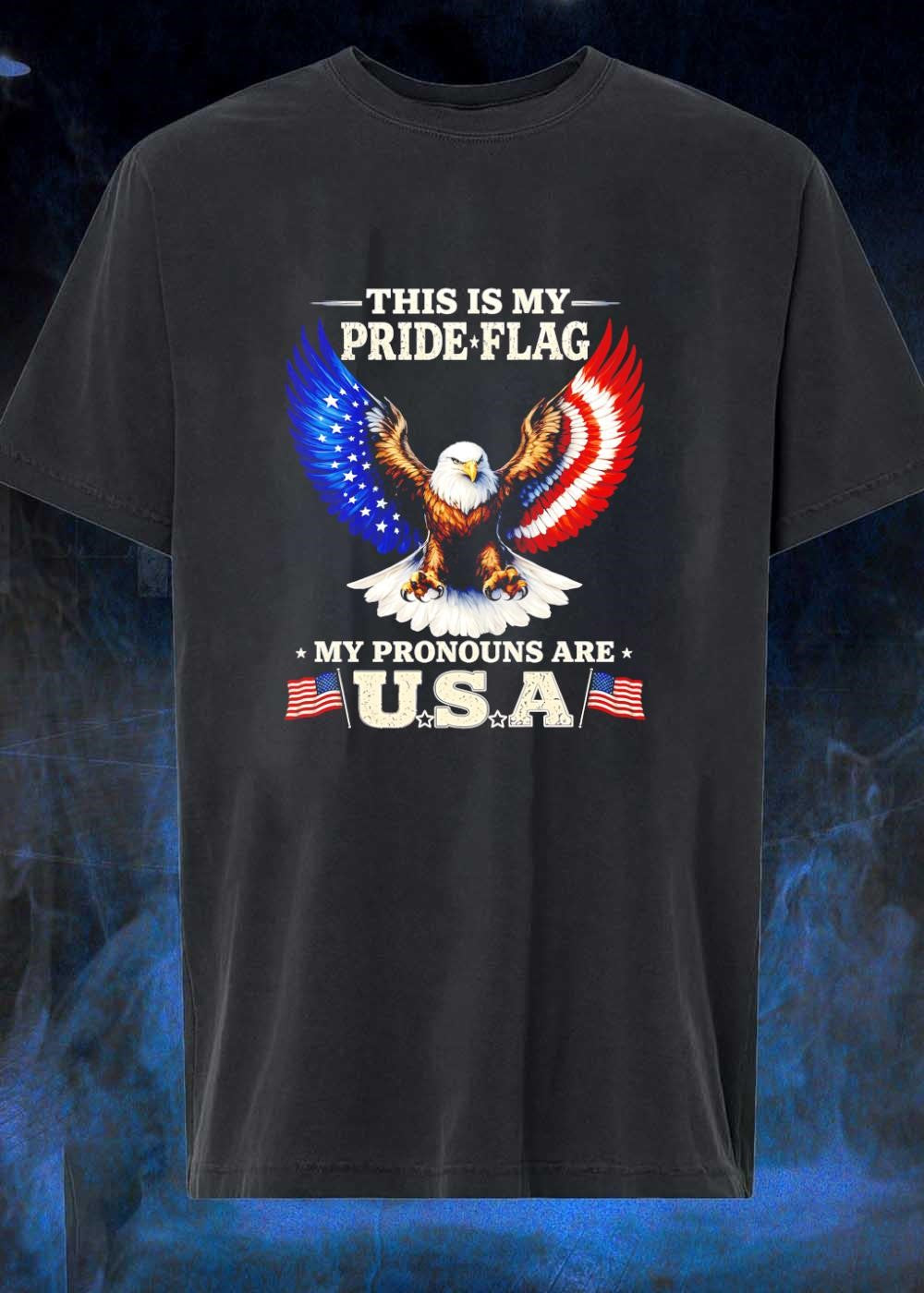This Is My Pride Flag Pronouns Are USA Eagle - Adult & Kids T-Shirts, Sweatshirts & Hoodies apparel design preview 1