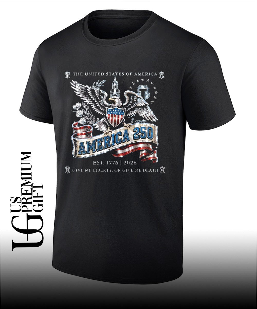 United States of America Bald Eagle Independence Hall - Adult & Kids T-Shirts, Sweatshirts & Hoodies apparel design preview 1