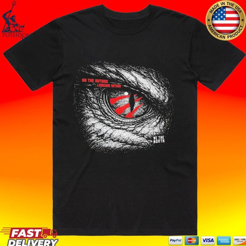 On The Outside Looking Within Toronto Raptors - Adult & Kids T-Shirts, Sweatshirts & Hoodies apparel design preview 1