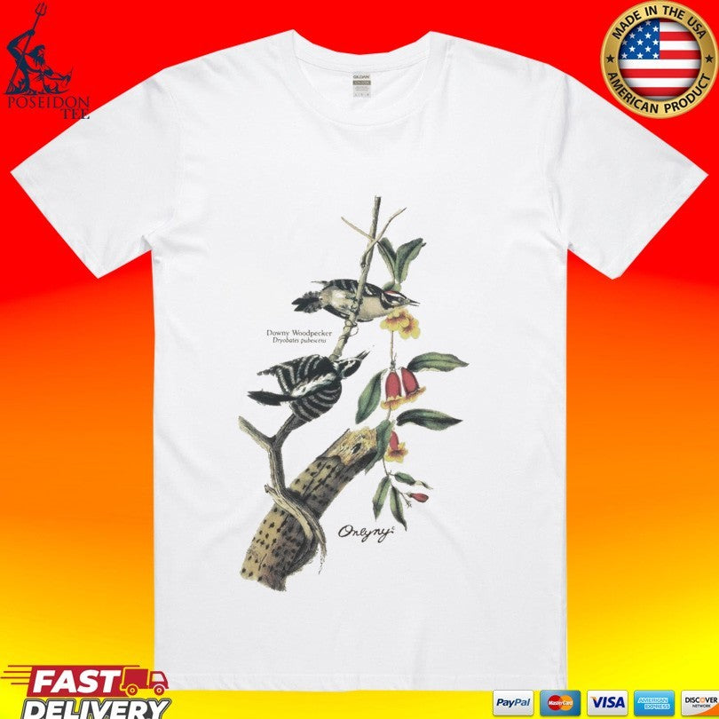 Only NY Woodpecker - Adult & Kids T-Shirts, Sweatshirts & Hoodies apparel design preview 1