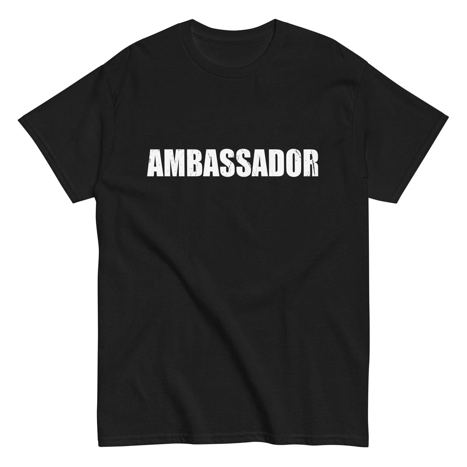Ambassador Lazy Easy Halloween Costume Funny Cute New - Adult & Kids T-Shirts, Sweatshirts & Hoodies apparel design preview 1