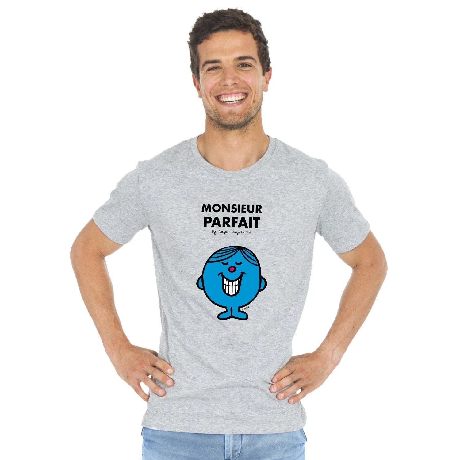 Man short Sleeve Gray, Mr Perfect - Adult & Kids T-Shirts, Sweatshirts & Hoodies apparel design preview 1